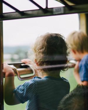 Two boys staring out a window to represent Evan's Law 