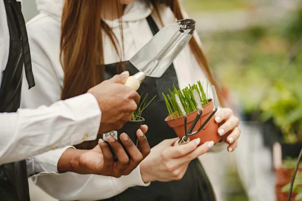 People examining potted plants with gardening tools.