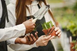 People examining potted plants with gardening tools.
